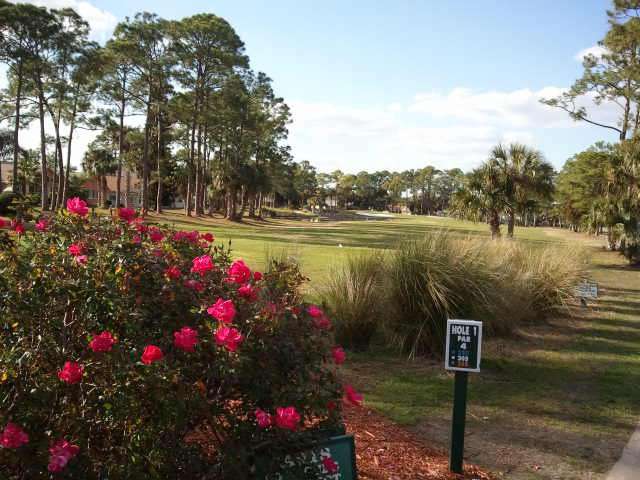Hidden Lakes Golf Club | 35 Fairgreen Ave, New Smyrna Beach, FL 32168, USA | Phone: (386) 427-4138