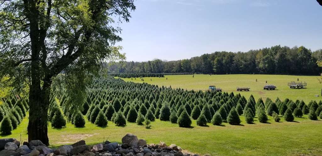 Dulls Tree Farm and Pumpkin Harvest | 1765 W Blubaugh Ave, Thorntown, IN 46071 | Phone: (765) 325-2418