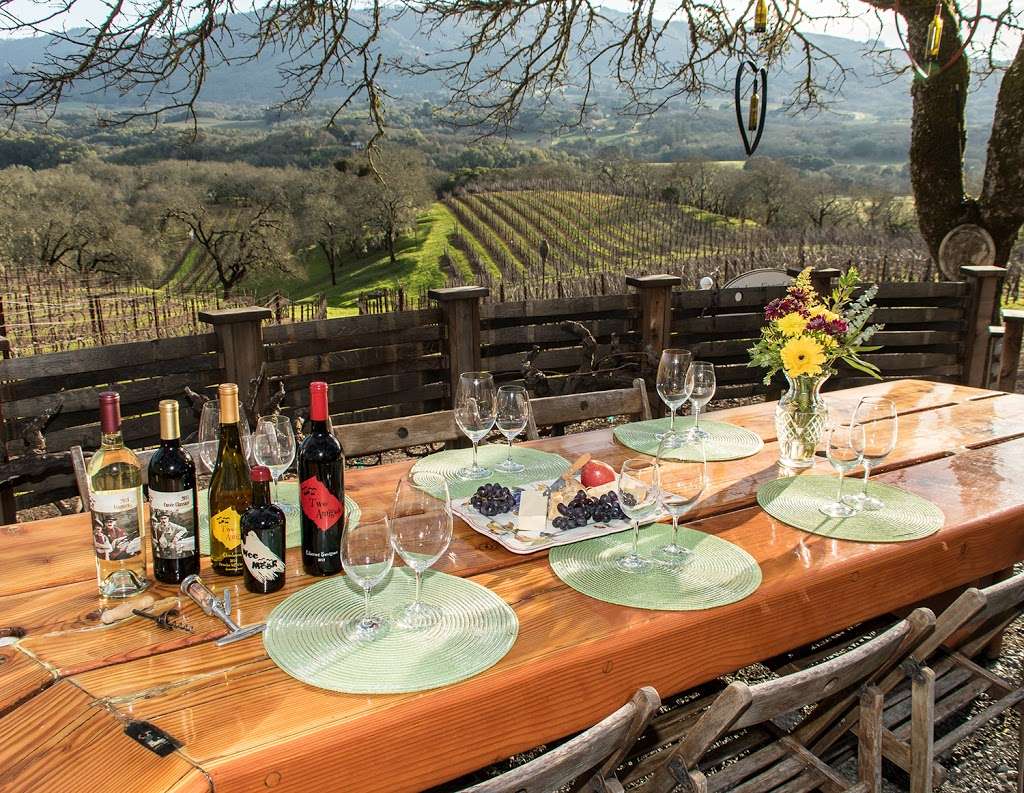 Two Amigos Winery, LLC | 2750 John Hill Rd, Glen Ellen, CA 95442, USA | Phone: (707) 799-7146