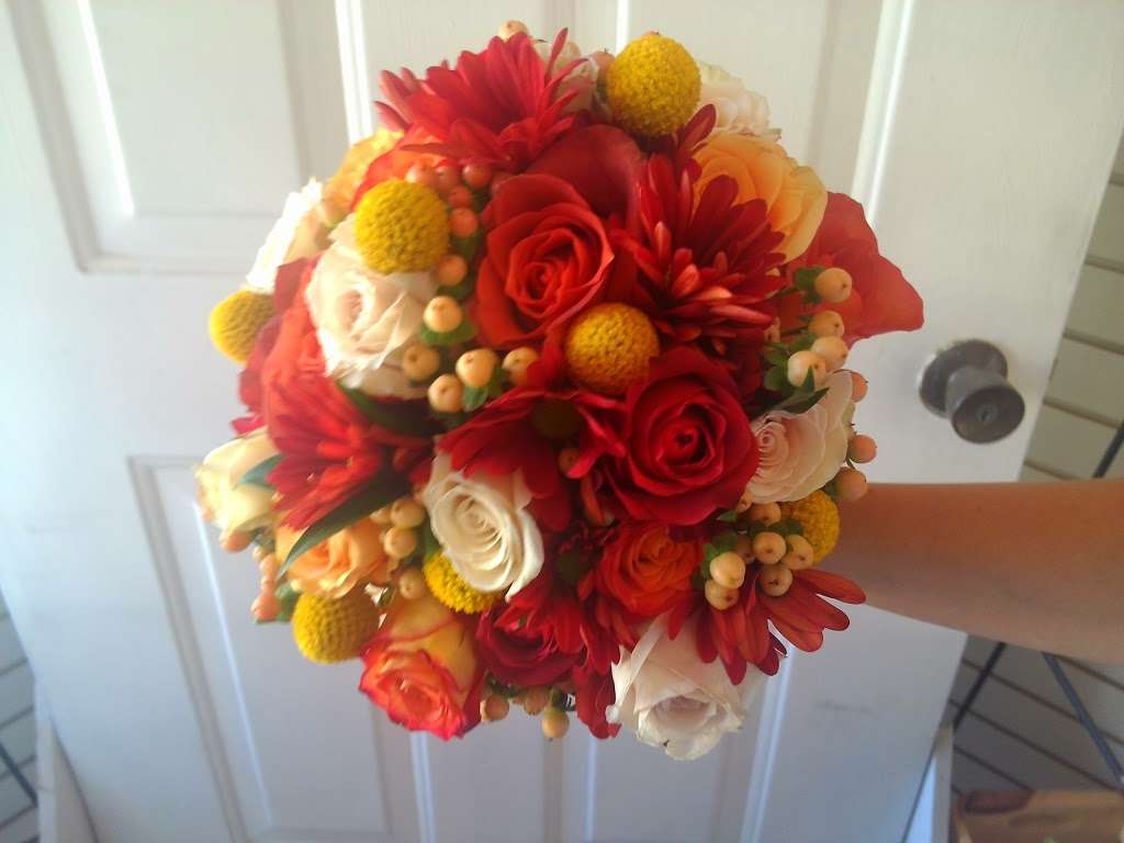 Country Petaller | 110 S Piney Rd, Chester, MD 21619, USA | Phone: (410) 643-8588