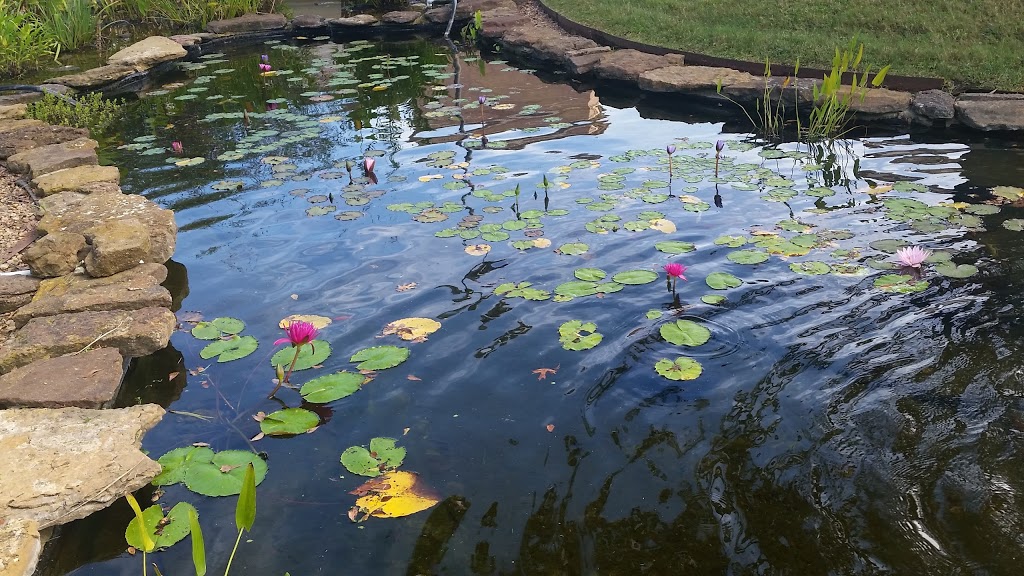 Plazas At The Parkway | 1127 Eldridge Pkwy, Houston, TX 77077, USA