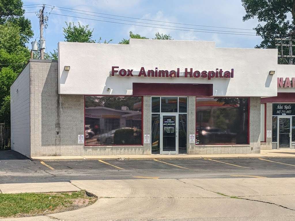 Fox Animal Hospital | 2107 Crawford Ave, Evanston, IL 60201, USA | Phone: (847) 869-4900