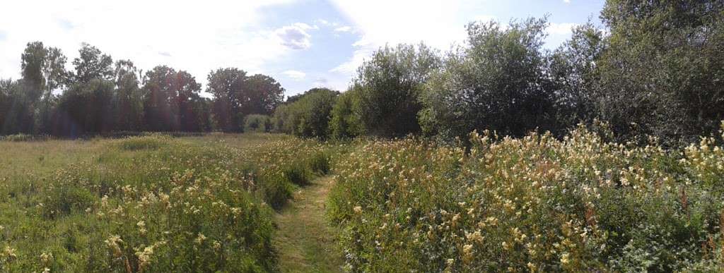 Eden Valley Woodland Burial Ground | Crouch House Road, Edenbridge TN8 5LG, UK | Phone: 01732 860109