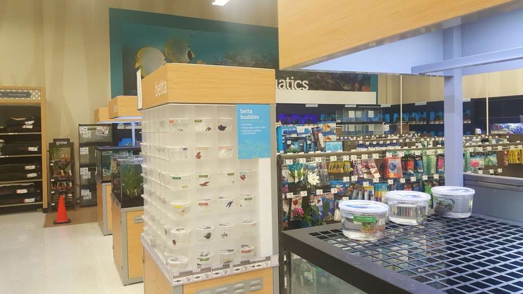 petco on 1960 and veterans memorial