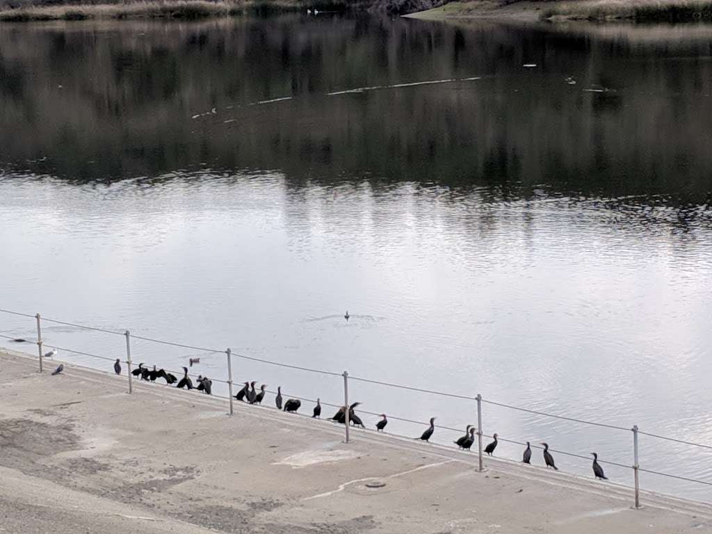 Lafayette Reservoir | Lafayette, CA 94549, USA