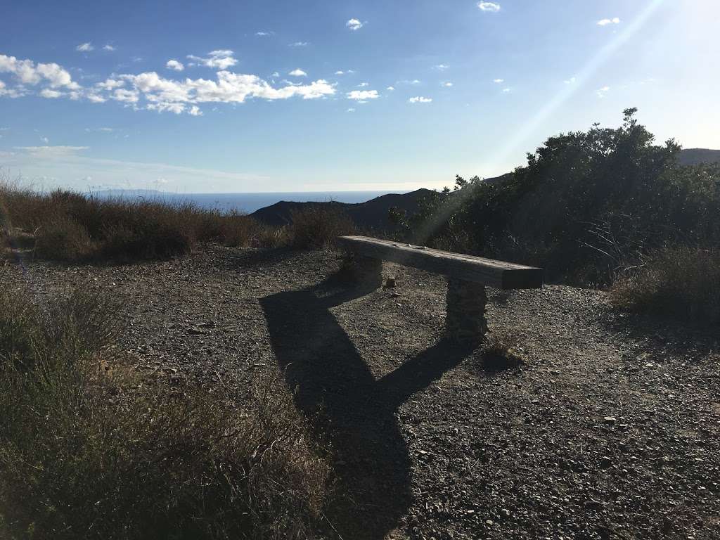 Mandeville Trail Bench | Los Angeles, CA 90049, USA