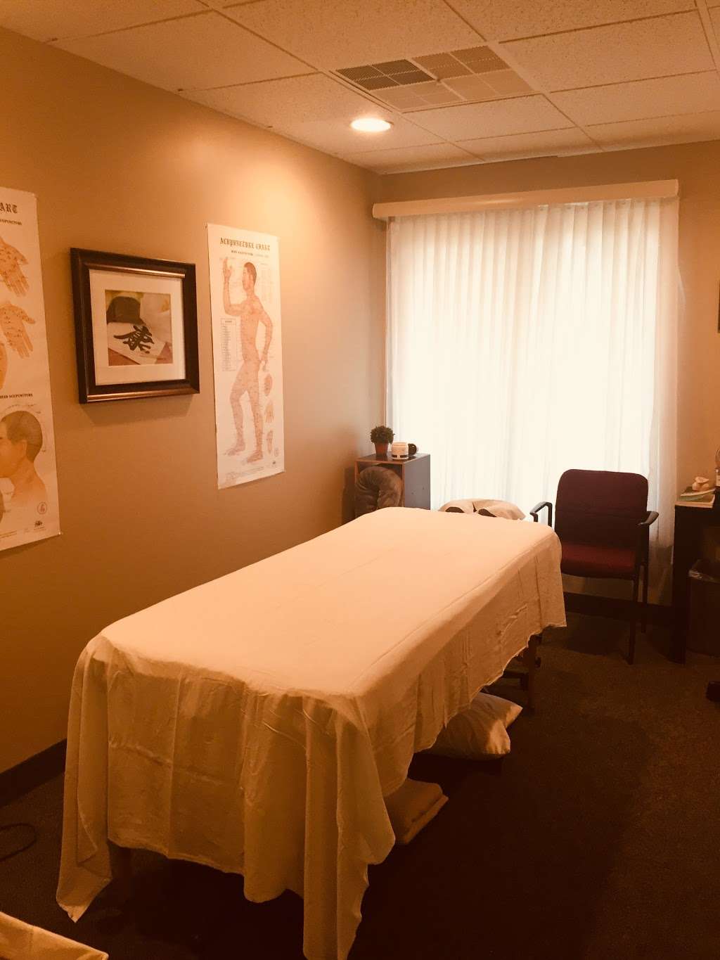 Wagner Integrative Therapies | 411 Hyde Park, Doylestown, PA 18902, USA | Phone: (215) 230-8100