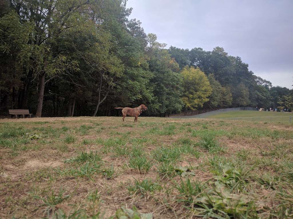 Central Park County Dog Park | Collins Rd, Morris Plains, NJ 07950, USA | Phone: (973) 326-7600