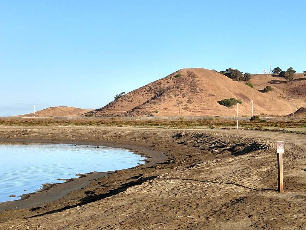 Don Edwards National Wildlife Refuge | 1 Marshlands Rd, Fremont, CA 94555, USA | Phone: (510) 792-0222