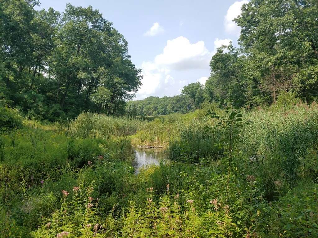 Clifford F. Messinger Dry Prairie & Savanna State Natural Area | State Park Road, Whitewater, WI 53190, USA | Phone: (888) 936-7463