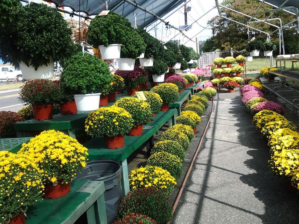 Hilltop Garden Center | 1339 N Black Horse Pike, Blackwood, NJ 08012, USA | Phone: (856) 232-8844