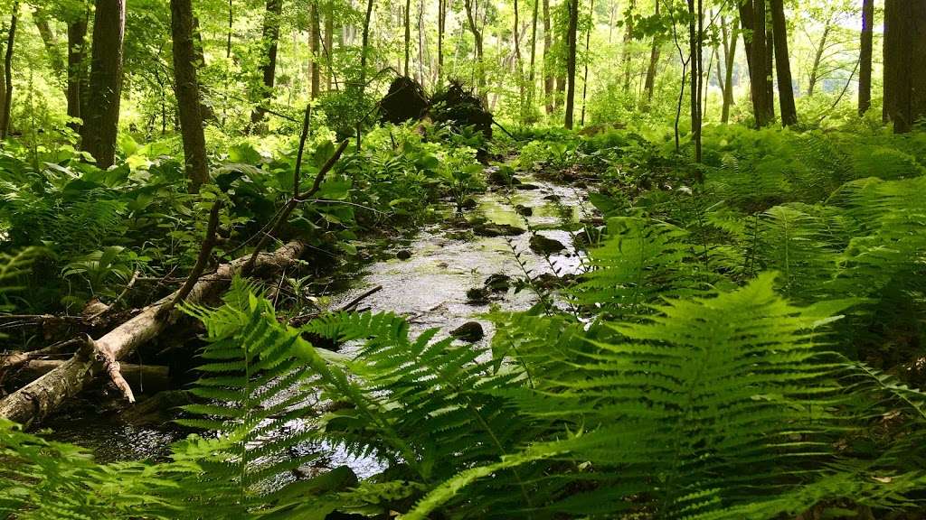 Wooster Mountain State Park Scenic Reserve | Danbury, CT 06810, USA