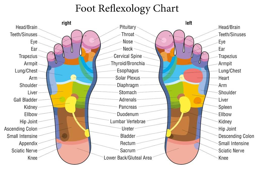 Advanced Medical Reflexology | Waterfront Office, 2100 Marina Shores Dr, Virginia Beach, VA 23451, USA | Phone: (804) 289-3338