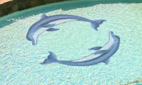 Meridian Pool Tile | 101 S 30th St, Phoenix, AZ 85034, USA | Phone: (602) 237-6401