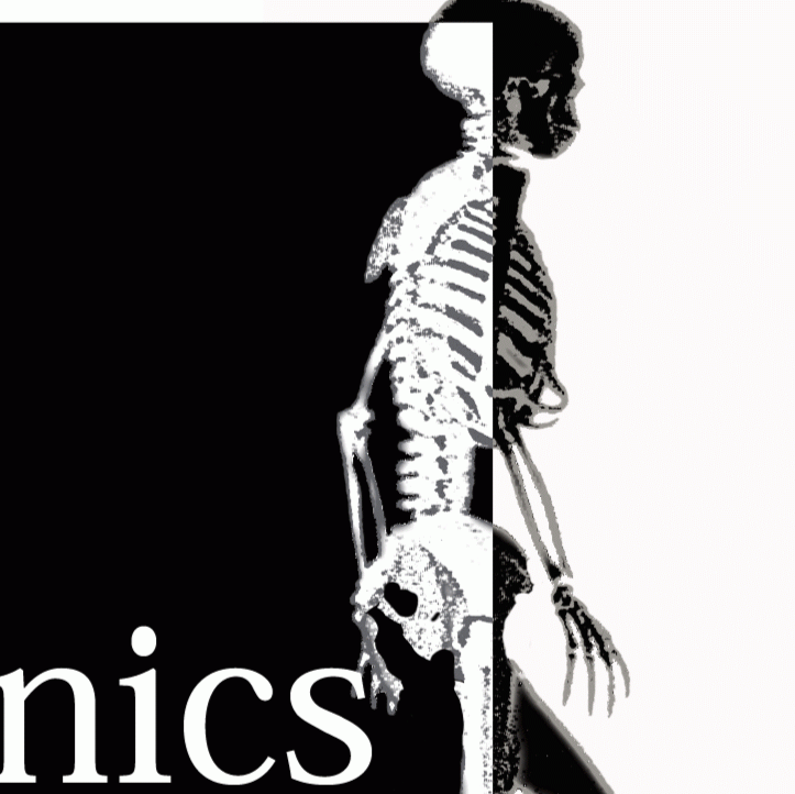 BioMechanics Physical Therapy (BMPT) | 1415 E Colorado St #211, Glendale, CA 91205, USA | Phone: (323) 786-1890