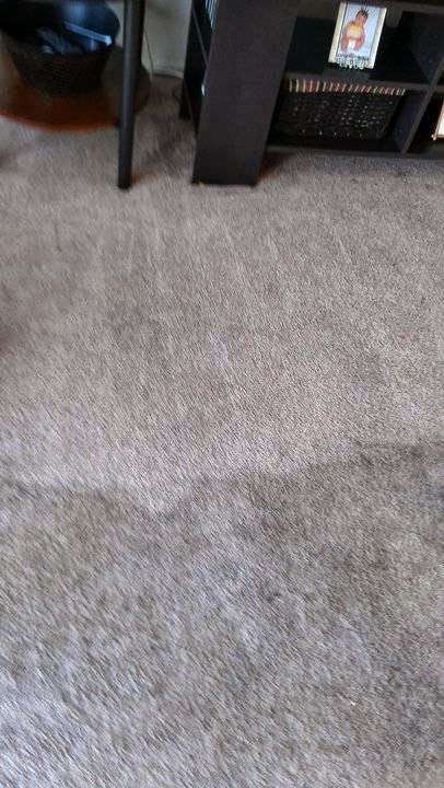 r & j carpet and house cleaning | 27911 Industrial Blvd, Hayward, CA 94545, USA | Phone: (510) 415-7582