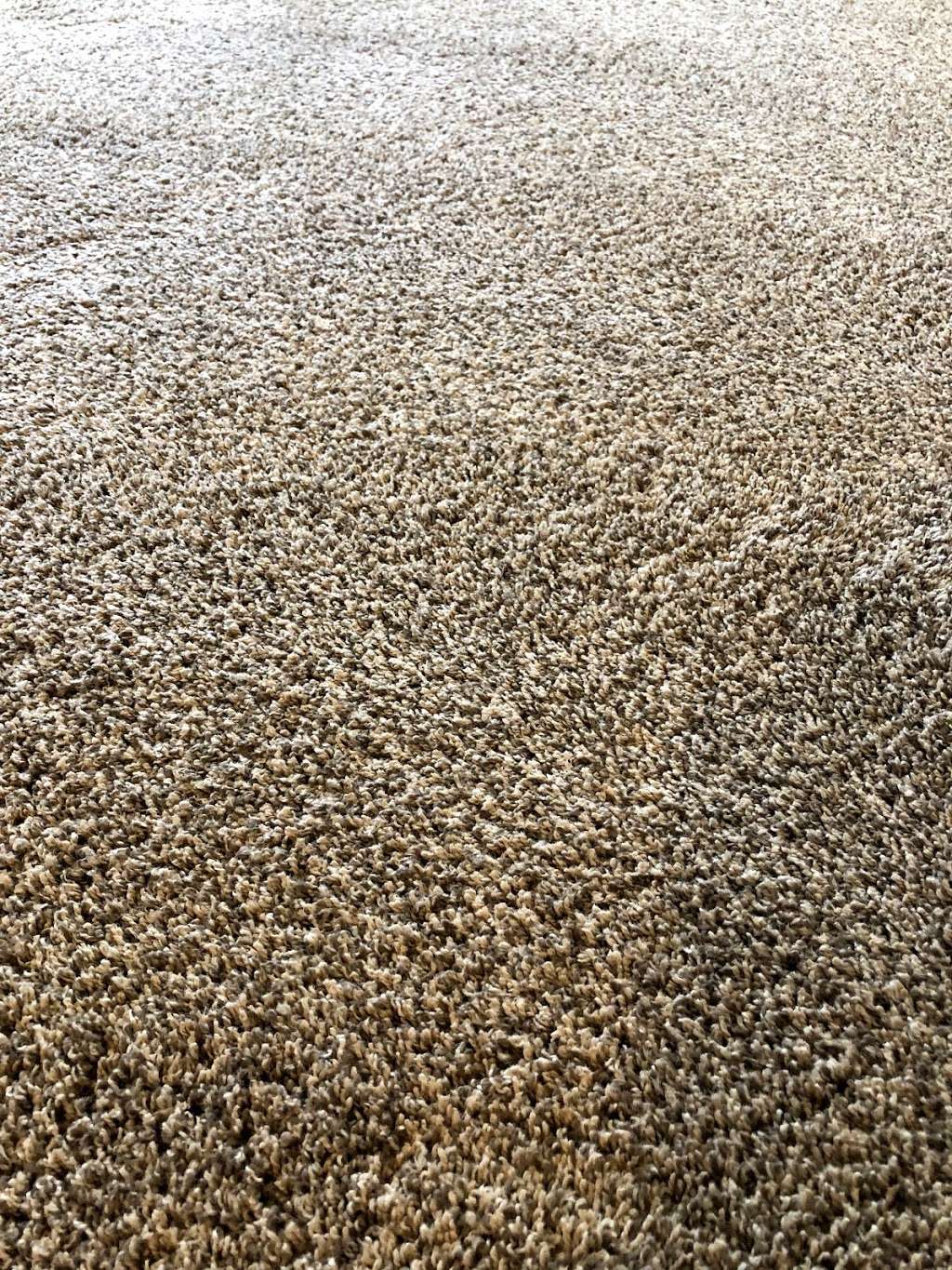 MacDonald Carpet Cleaning | 36288 Waxen Rd, Lake Elsinore, CA 92532 | Phone: (908) 380-0279