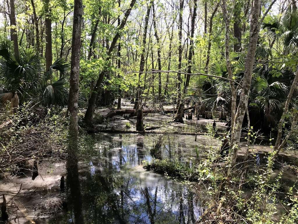 Marshall Swamp Trailhead | 8282 SE Hwy 314, Ocala, FL 34470, USA | Phone: (352) 671-8560