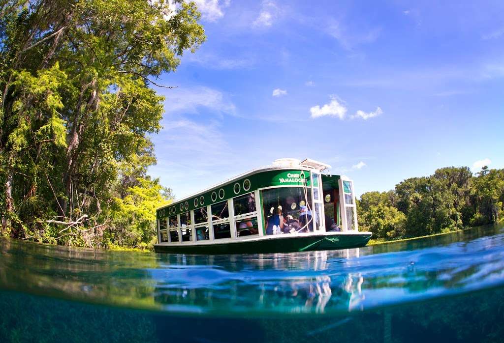 Glass Bottom Boat Tours at Silver Springs | 5656 E Silver Springs Blvd, Silver Springs, FL 34488, USA | Phone: (352) 261-5840