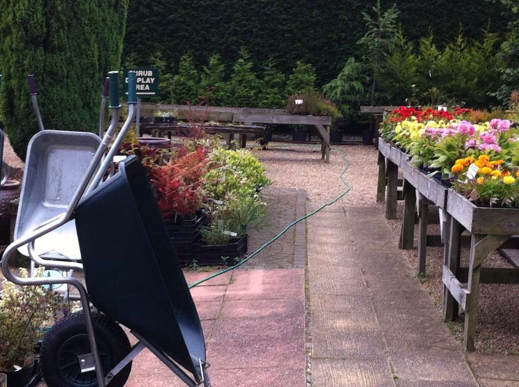 Newlands Nursery & Garden Centre | Goathurst Common, Ide Hill TN14 6DA, UK | Phone: 01732 750591