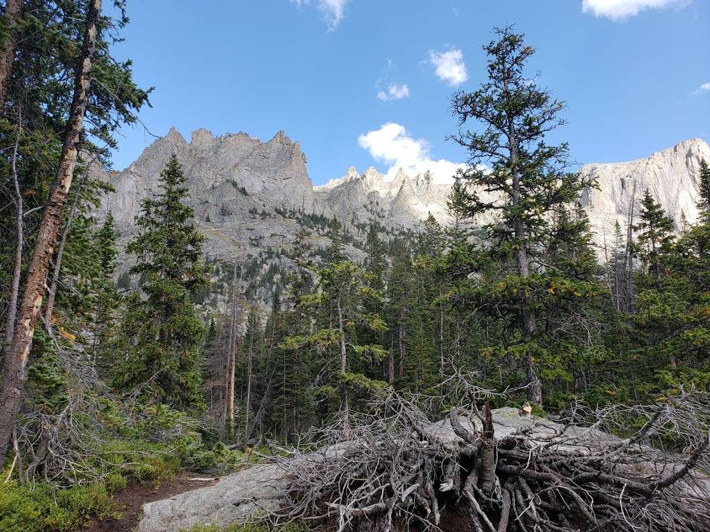 Crater Lake Campground | Nederland, CO 80466, USA