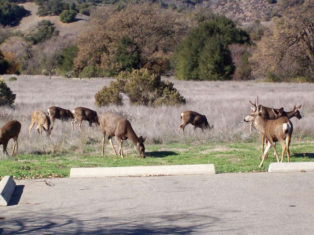 Malibu Creek State Park Trailhead SMHC | 1925 Las Virgenes Rd, Calabasas, CA 91301, USA