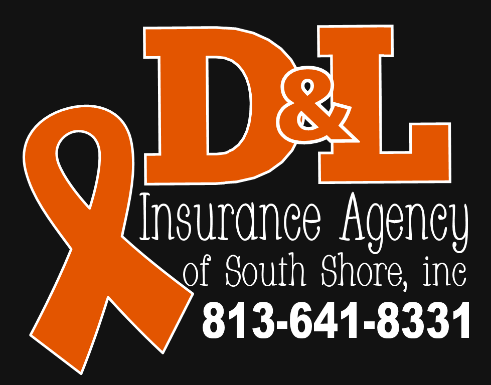 D&L Insurance Agency of South Shore Inc | 605 S U.S. Hwy 41, Ruskin, FL 33570, USA | Phone: (813) 641-8331