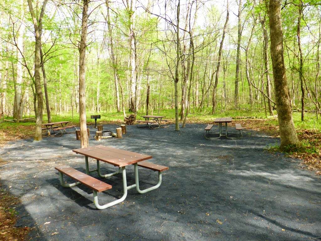 Marsden Tract Group Campground | Potomac, MD 20854, USA