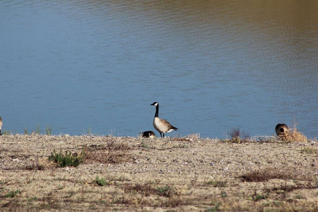 Lake Elsinore Levee | Diamond Dr, Wildomar, CA 92595, USA