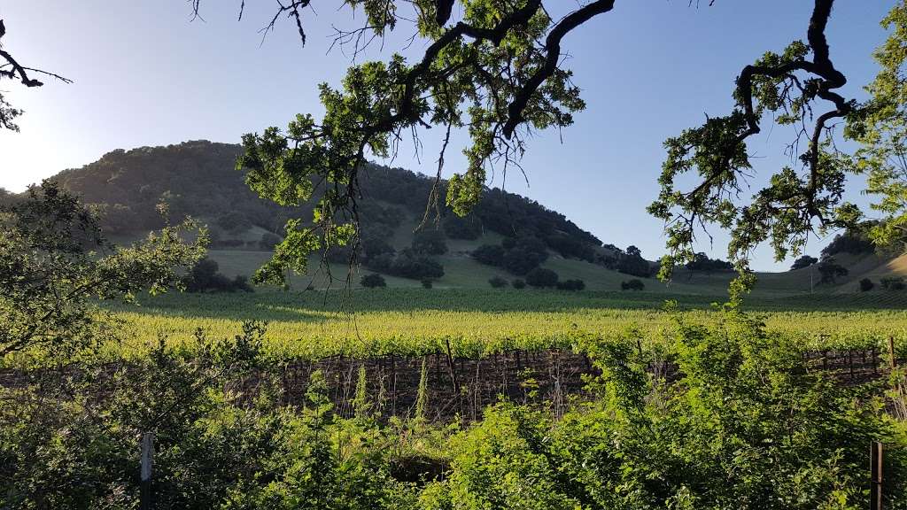 George C Yount Pioneer Cemetery and Ancient Indian Burial Ground | Lincoln Ave, Yountville, CA 94599, USA