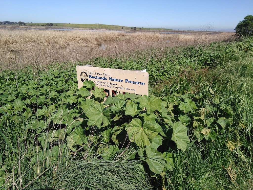 Baylands Nature Preserve - City of Palo Alto | Palo Alto, CA 94303, USA | Phone: (650) 617-3156