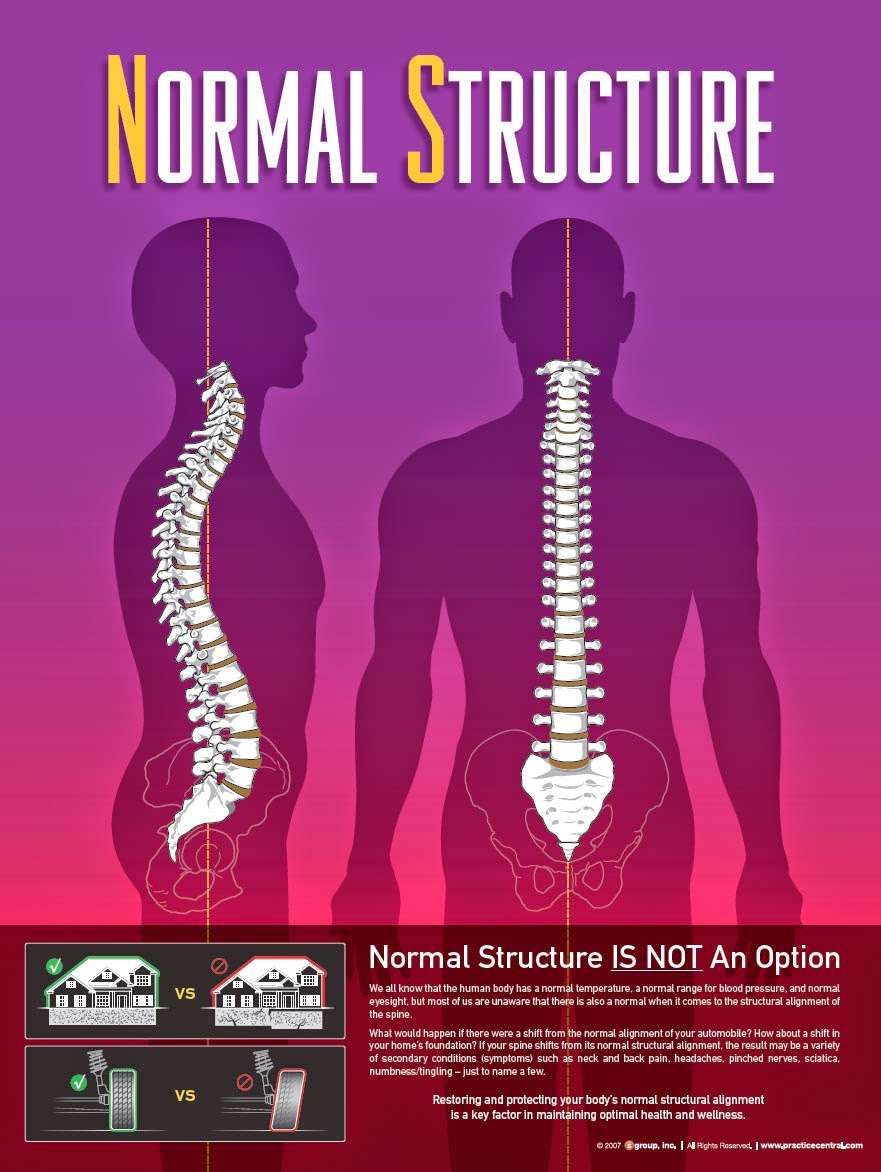 Structural Chiropractic | 800 Kinderkamack Rd suite 102n, Oradell, NJ 07649, USA | Phone: (201) 588-3840