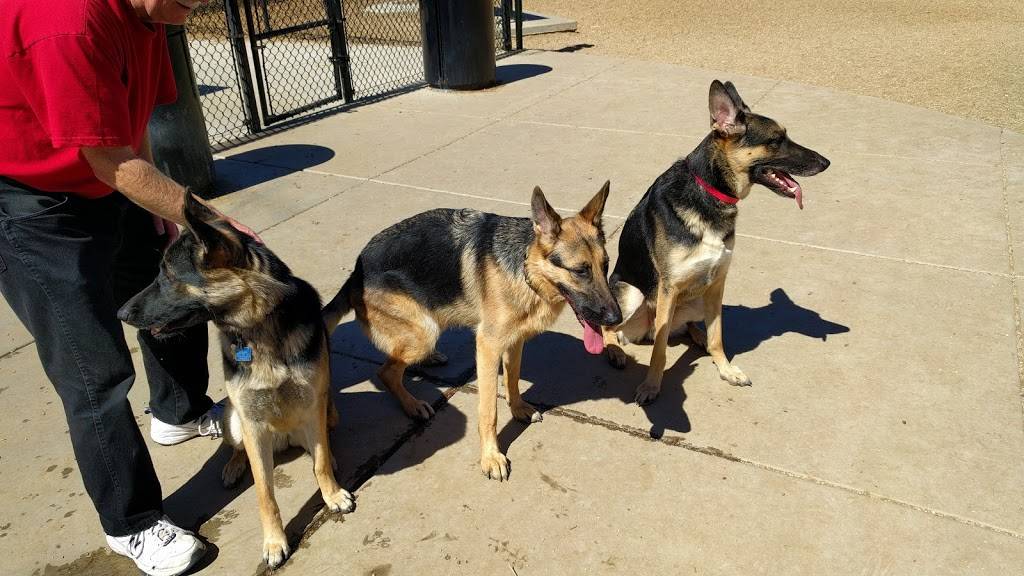 Skyline Dog Park | 12700 Montgomery Blvd NE, Albuquerque, NM 87111, USA | Phone: (505) 768-5353