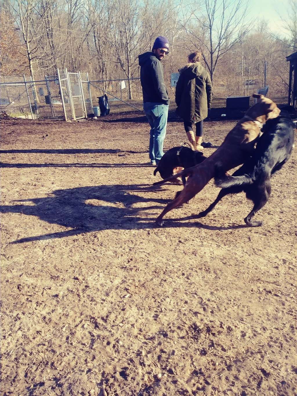 Ma & Pa Dog Park | Bel Air, MD 21014 | Phone: (410) 638-3570