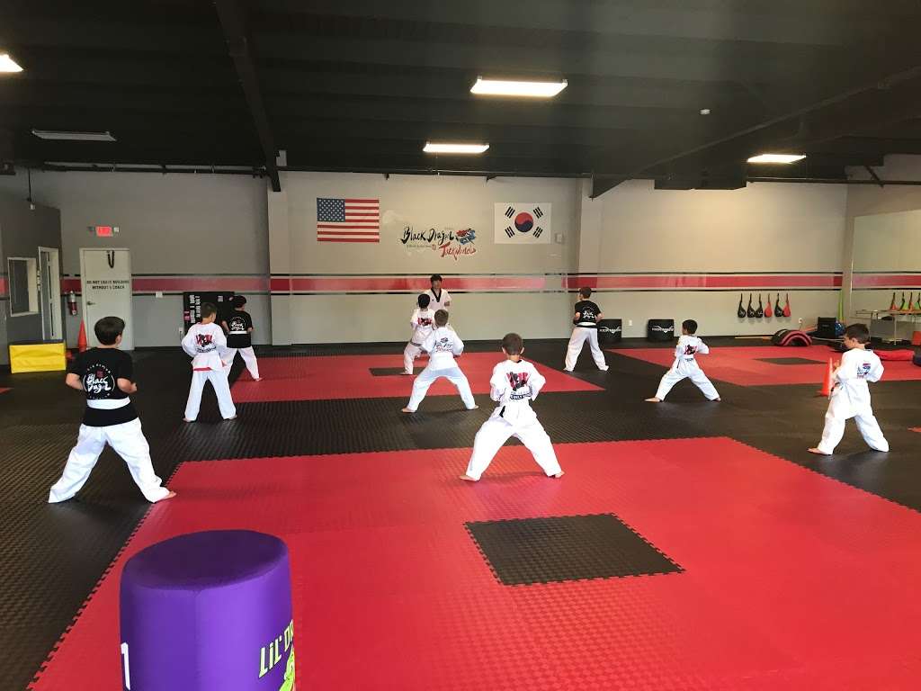 BLACK DRAGON TAEKWONDO | KATY MARTIAL ART CHILD CARE CENTER | 1420 Katy Flewellen Rd A-400, Katy, TX 77494, USA | Phone: (832) 931-7455