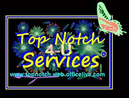 Top Notch Services 4U | Wallisville Rd, Houston, TX 77049 | Phone: (832) 466-8482