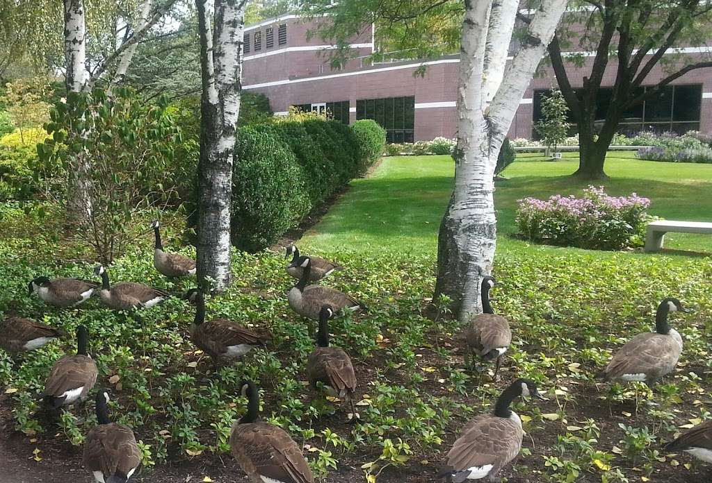 Rockland Community College Herbert Kurz Peace Garden | 145 College Rd, Suffern, NY 10901, USA | Phone: (845) 574-4000