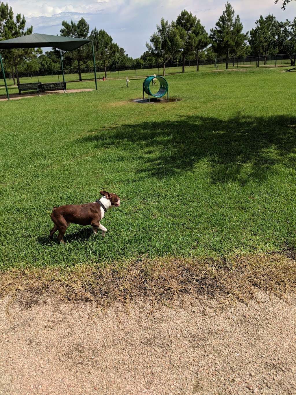 Jenkins Park Dog Park | Baytown, TX 77521 | Phone: (281) 420-6597