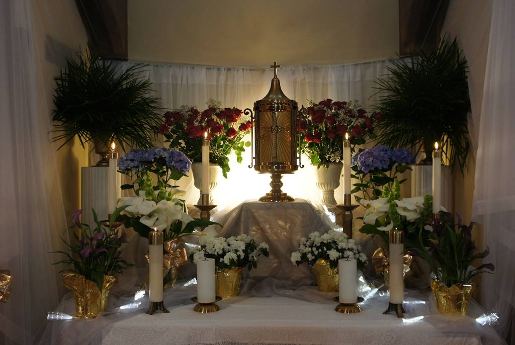 St Albert the Great | 1022 Holly St, Alameda, CA 94502, USA | Phone: (510) 373-5200