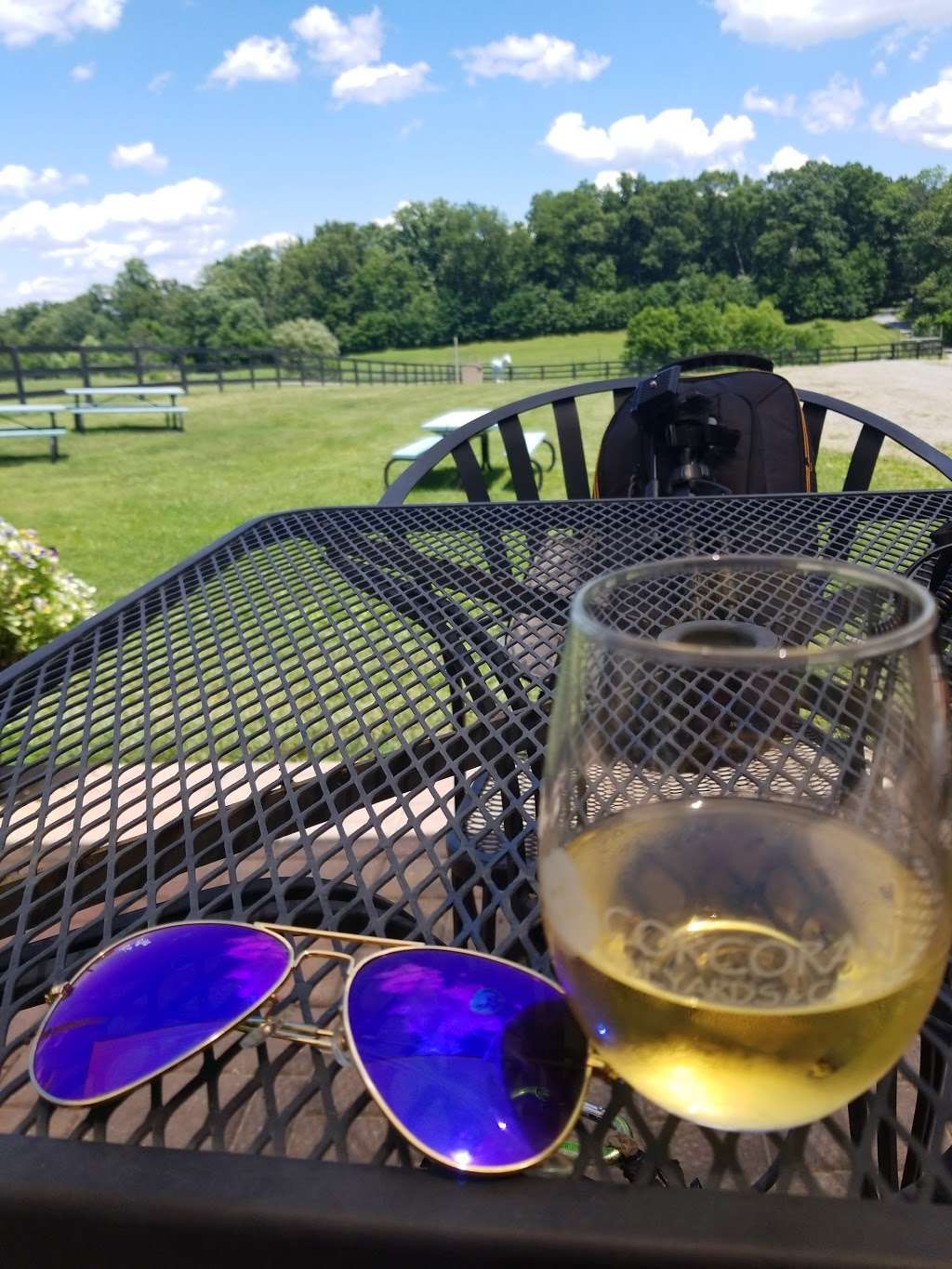 Corcoran Vineyards & Cidery | 14635 Corkys Farm Ln, Waterford, VA 20197, USA | Phone: (540) 882-9073