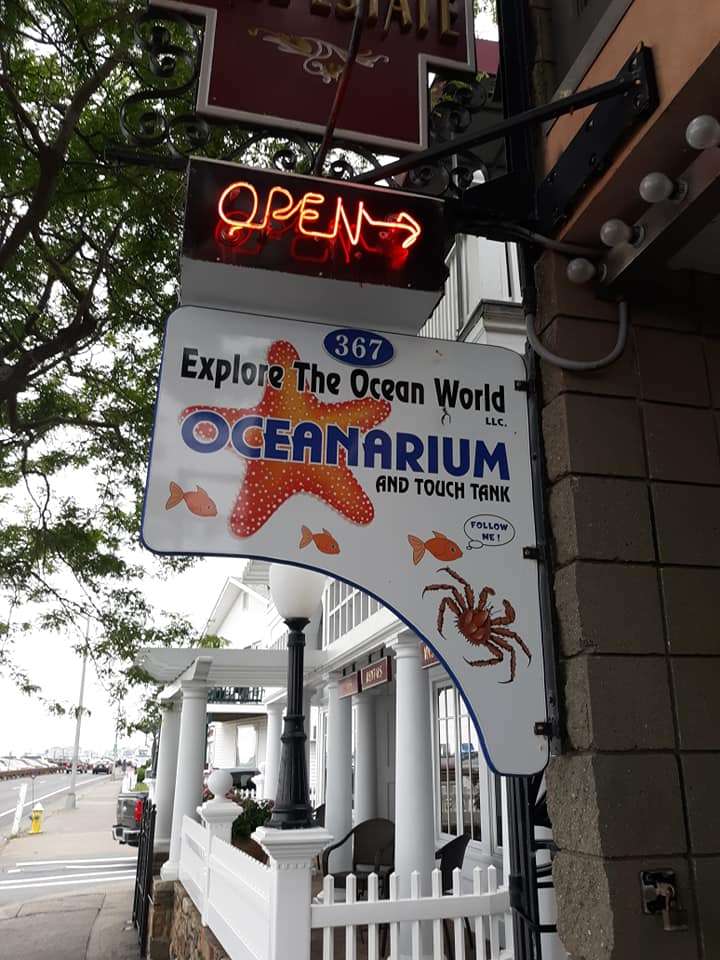 Explore the Ocean World Oceanarium | 367 Ocean Blvd, Hampton, NH 03842, USA | Phone: (603) 758-7998