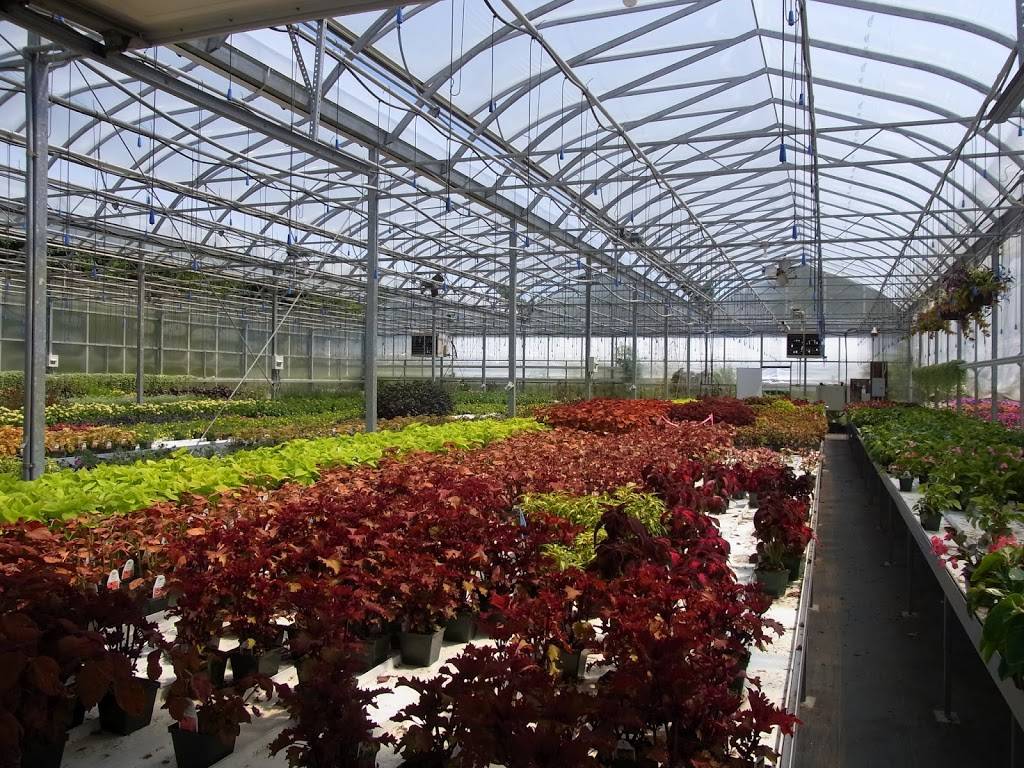 Lockwoods Greenhouses & Farm | 4484 Clark St, Hamburg, NY 14075, USA | Phone: (716) 649-4684