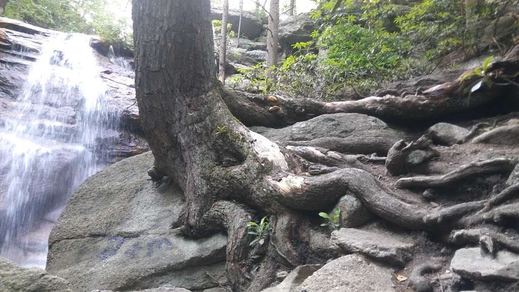 water fall | Tremont, PA 17981, USA