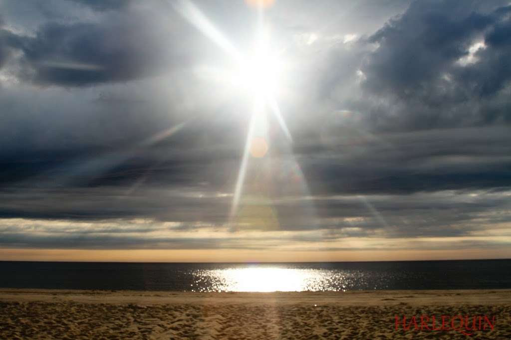 Egg Island Fish and Wildlife Management Area | Fortescue, NJ 08321