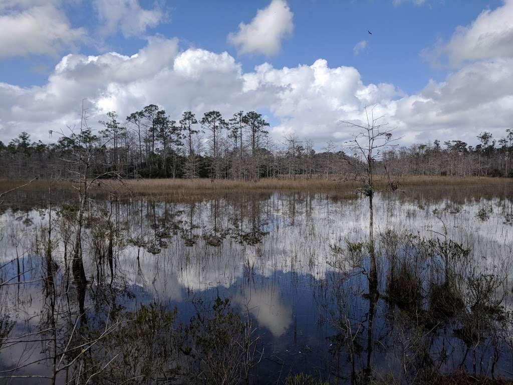 Loxahatchee Slough Natural Area | 9060 W Indiantown Rd, Jupiter, FL 33478, USA | Phone: (561) 233-2400