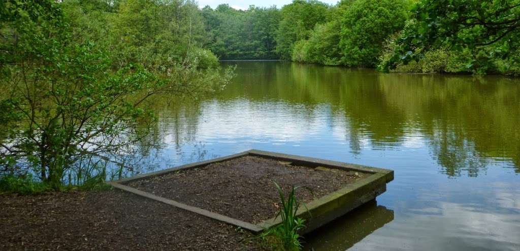 Bentley Fishery - Carp Lake | Mores Ln, Brentwood CM14 5RU, UK | Phone: 07939 074089