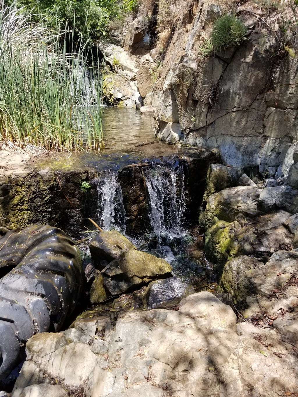 Coppers Creek Falls | Unnamed Road, Carlsbad, CA 92009, USA