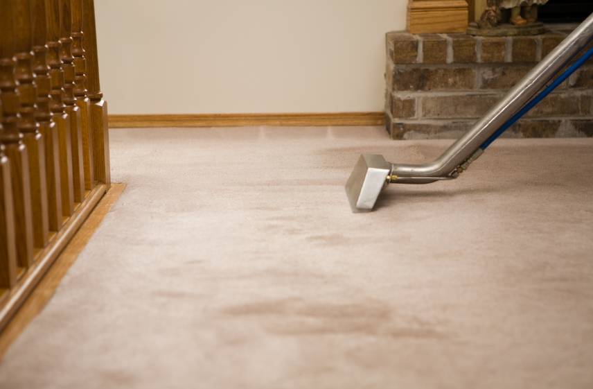 Carpet Cleaning Service Dallas TX | 3078 Grayson Dr, Dallas, TX 75224 | Phone: (972) 591-1638