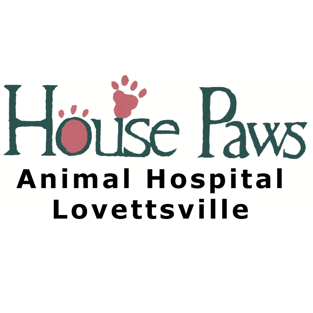 House Paws Animal Hospital Lovettsville | 2 E Pennsylvania Ave, Lovettsville, VA 20180 | Phone: (540) 822-4738