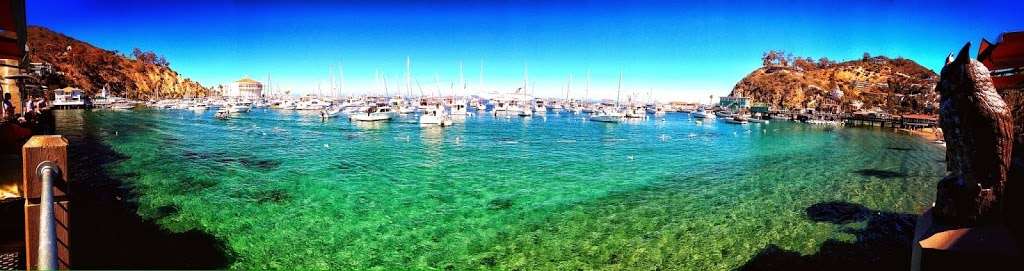 ScubaOne Diving | 15375 Braun Ct, Moorpark, CA 93021, USA | Phone: (919) 810-1833